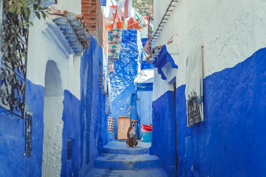 Unveiling the World’s Best Kept Travel Secrets
